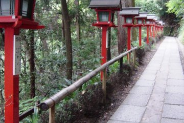 The Kurama-Kibune Mountain Trail