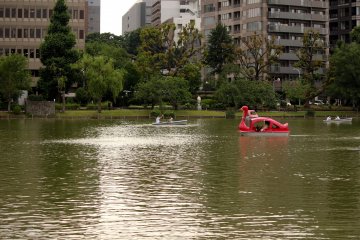El lago Shinobazu para pasear en bote.