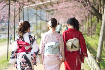 คุณอาจจะอยากลองใส่ชุดกิโมโน มาเดินเล่นริมฝั่งแม่น้ำคะโมะ