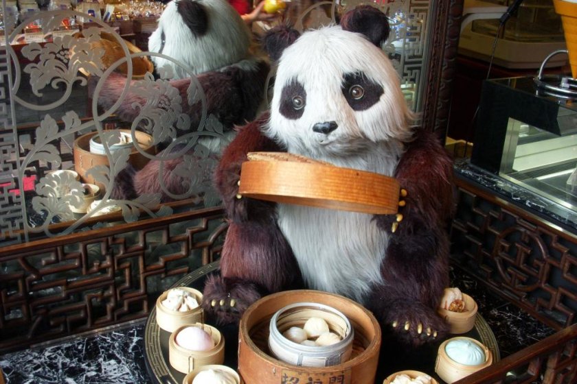 An animatronic panda greets you with steamed dumplings