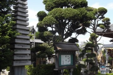 Angular pagoda, trimmed trees