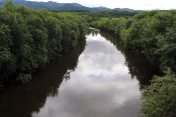 The upriver view of the Tombetsu from atop Kotobuki Bridge.