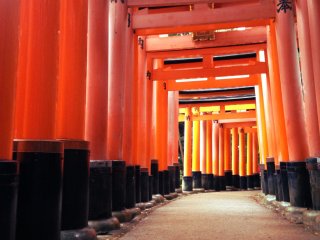 معبد فوشيمي ايناري - كيوتو