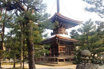 The historic temple tower at Chion-ji