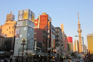 Asakusa and Skytree in the evening