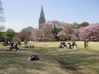 Парк Йойоги и апреле