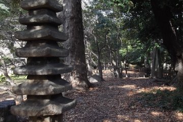 A pagoda among the trees