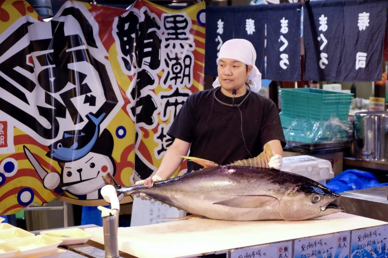 ปลาทูน่าครีบน้ำเงิน ปลาที่จับในวันนี้ของคุโระชิ