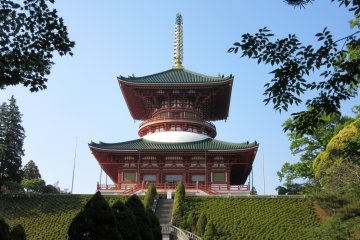 Буддистский храм 