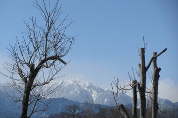 The view to Japanese Alps from Daio Wasabi Farm