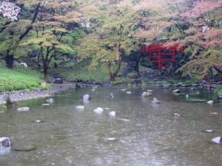 Di taman Jepang