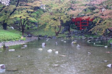 В японском саду