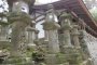 The Stone Lanterns of Kasuga Shrine