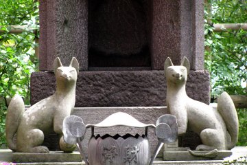 Kitsune - guarding foxes of shinto jinja