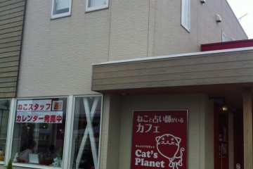 <p>แคท แพลนเน็ต คาเฟ่แมวในทากาซากิ</p>