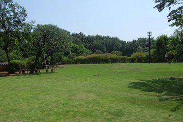 Green space within the concrete confines of Tokyo