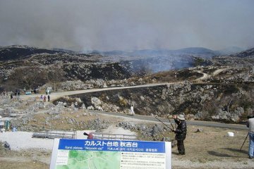 The annual grass burning of the national park.