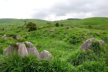 The green landscape is dotted with limestone boulders.