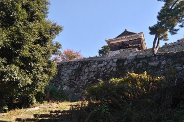 Castle wall splendour 