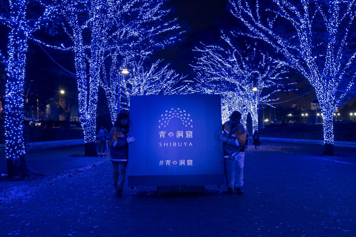 The Blue Cave ในชิบุยะ 2023 - ธันวาคม งานเทศกาลในโตเกียว - Japan Travel