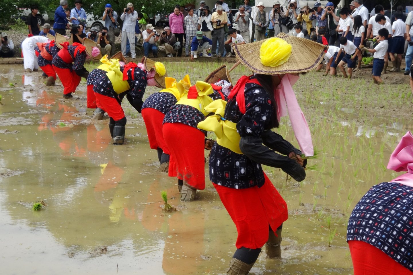 Costumed participants plant the year\'s first rice crop in Arao