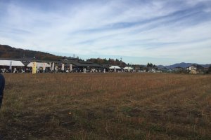 Hanaminosato. The soba field.