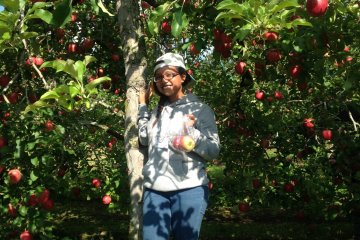 Joy of apple-picking under the cool shade 