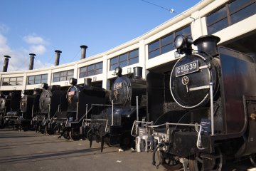 Outside the museum building is a whole section on steam trains