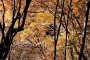 Осенняя прогулка по долине Нисидзава