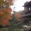 Ginkaku-ji in Autumn