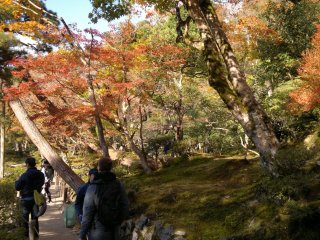 Ah, this is it! Ginkaku-ji’s full autumn foliage viewing