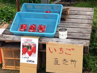Strawberry stalls