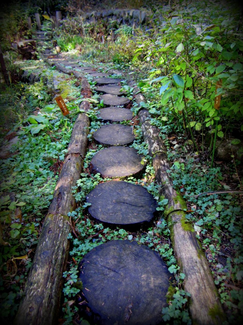 Instead of stones, this walkway is made with tree rounds