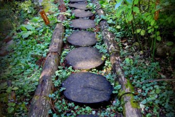 Instead of stones, this walkway is made with tree rounds