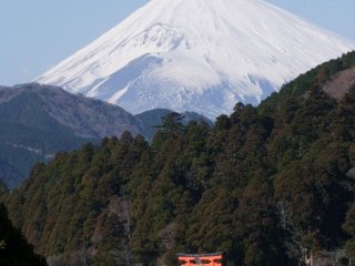 雪をかぶった富士山と箱根神社の赤い鳥居のコントラストが美しい