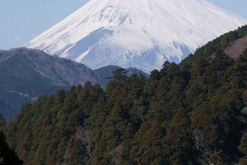 雪をかぶった富士山と箱根神社の赤い鳥居のコントラストが美しい