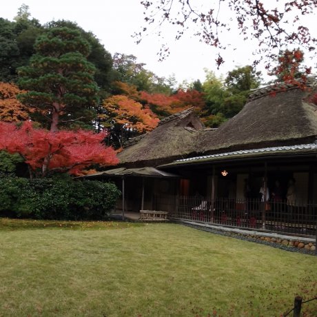 สวน Yoshikien ในนารา