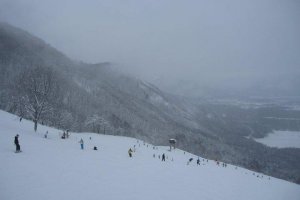 Near the top of Goryu