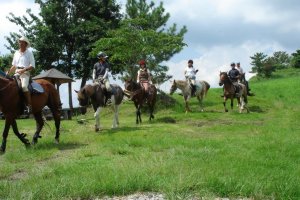Kirishima Art Ranch and Horse Trust