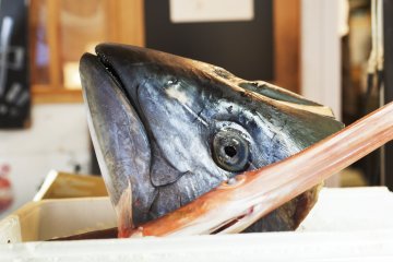Tsukiji Fish Market in Tokyo [Closed] [Closed]