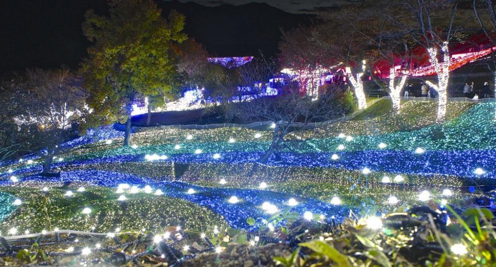 Rừng ánh sáng hồ Sagami