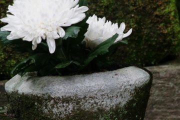 Flowers in front of a grave
