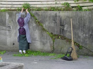 Một người phụ nữ trong khu phố đang dọn dẹp chào đón mùa xuân