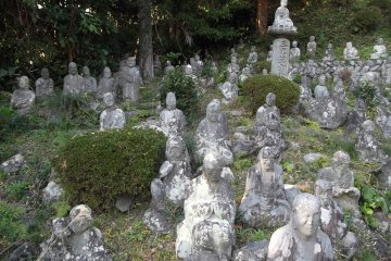 A small part of the temple's statue population