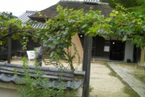 Yumeji Takehisa house