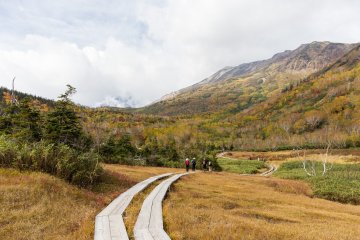 Easy hiking in Hakuba during the fall folliage season