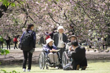 People of all ages go out to enjoy hanami