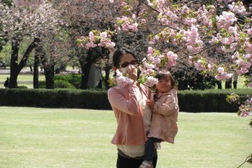 Mother and daughter enjoying sakura