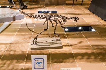 A tiny carnivorous dinosaur; note free Wi-Fi in the museum