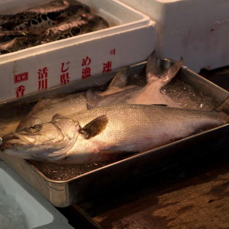 Chợ cá Tsukiji [Đóng]